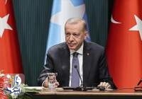 اردوغان: مصمم به توسعه و حفظ روابط با آفریقا هستیم
