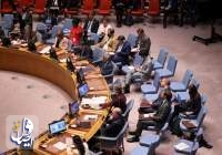 فيتو روسي ضد مشروع قرار لتمديد آلية نقل المساعدات إلى سوريا عبر تركيا