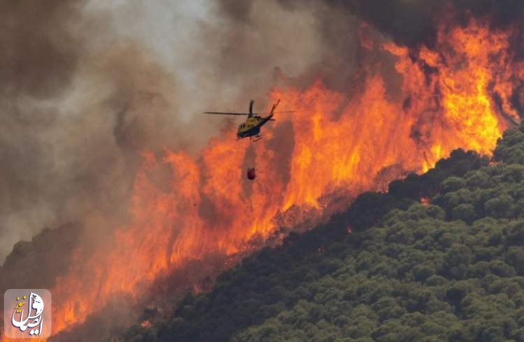 Thousands evacuated as blistering heatwave in Europe sparks wildfires