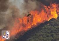 Thousands evacuated as blistering heatwave in Europe sparks wildfires