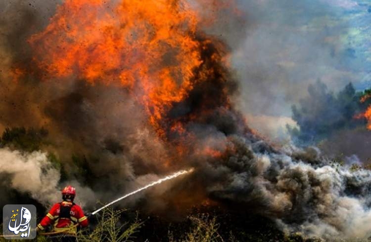 موجة حر قياسية بأوروبا.. مئات الوفيات في إسبانيا والبرتغال وحرائق تدمر الغابات