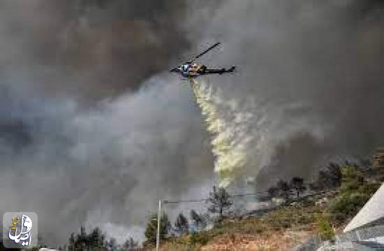 فرماندار گالیکش: پیشروی آتش در جنگلهای گالیکش مهار شده است