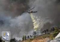 فرماندار گالیکش: پیشروی آتش در جنگلهای گالیکش مهار شده است