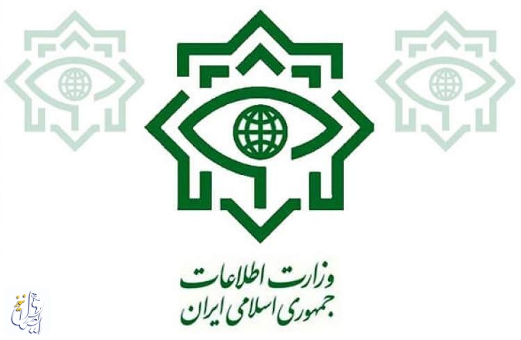 وزارت اطلاعات: یک تبعه‌ سوئدی به اتهام جاسوسی بازداشت شد