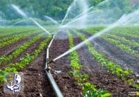 آب مورد نیاز برای آبیاری ۳۵ محصول کشاورزی پر کِشت در کشور اندازه گیری شد