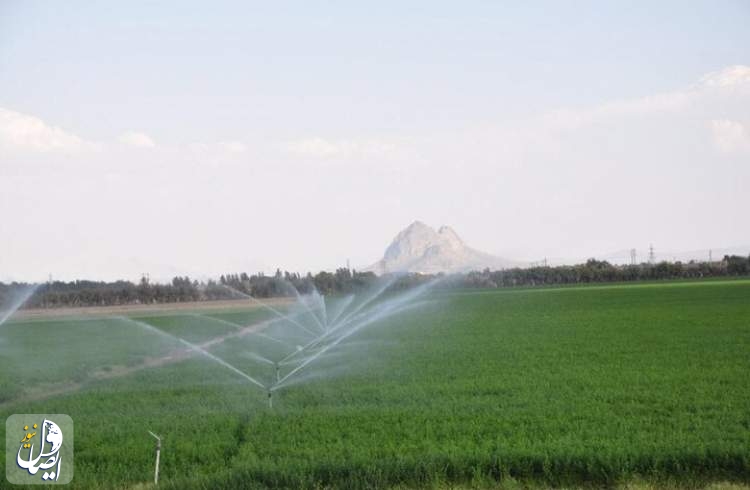 ۱۳۵ هزار هکتار از مزارع استان اصفهان به طرح‌های آبیاری موضعی، بارانی و کم فشار تجهیز شده است