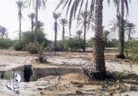 عراق با شدیدترین خشکسالی طی 90 سال گذشته روبه‌رو است