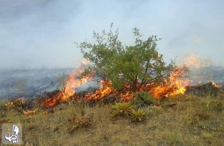 آتش سوزی‌های عمدی تالاب بیشه دالان با هدف تصرف اراضی منطقه
