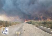 آتش‌سوزی وسیع تالاب هورالعظیم ادامه دارد/دود آسمان خوزستان را فرا گرفته است