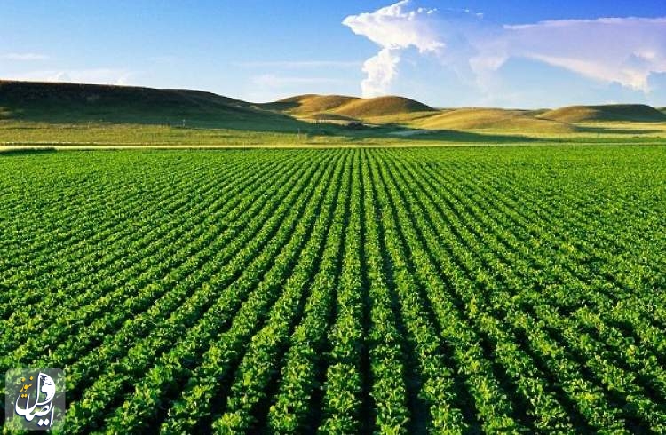 رشد ۴.۳ واحد درصدی ارزش افزوده بخش کشاورزی در بهار امسال