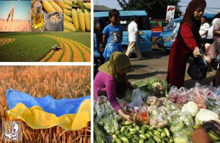 سازمان ملل: قیمت جهانی موادغذایی سقوط کرد