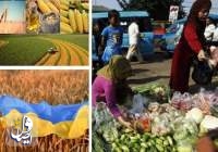 سازمان ملل: قیمت جهانی موادغذایی سقوط کرد
