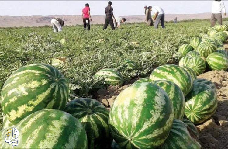 افزایش ۱۰۰ درصدی عوارض محصولات آب‌بر