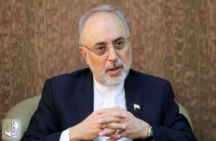 علی اکبر صالحی: در حال حاضر سازمان انرژی اتمی مانند ساعت می چرخد و کار می کند