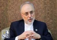 علی اکبر صالحی: در حال حاضر سازمان انرژی اتمی مانند ساعت می چرخد و کار می کند