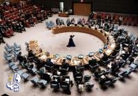 دول غربية تدعو مجلس الأمن لمناقشة «استخدام» طائرات مسيرة إيرانية بأوكرانيا