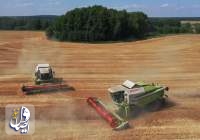 UN promises lifting of Russian grain export shortly