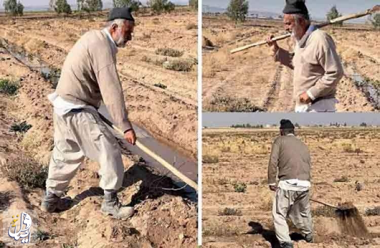 وزیر کشاورزی دولت خاتمی و دولت روحانی با بیل و لباس کار در زمین کشاورزی!