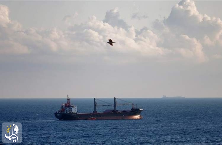 زلنسکی: حدود 500 کشتی با توافق‌نامه غلات از بنادر اوکراین خارج شدند