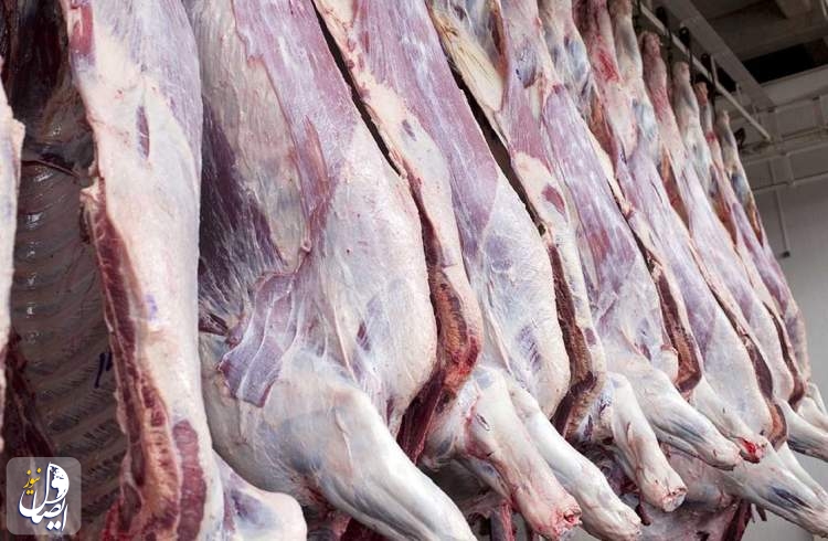 واردات گوشت گرم گوسفندی از اواسط هفته آینده آغاز می شود