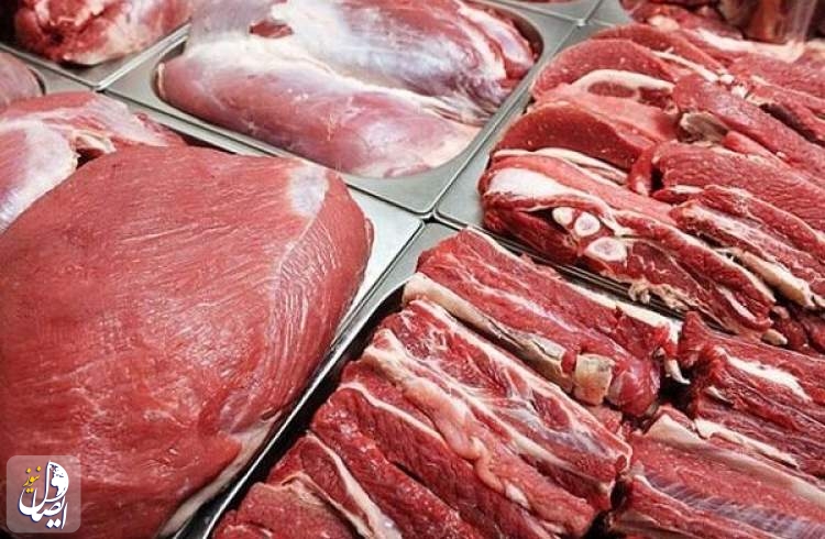 توزیع گوشت گرم قرمز به قیمت مصوب از فردا در تهران/ توزیع سراسری پس از ۲ روز