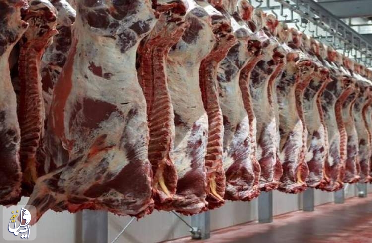 کاهش قیمت گوشت طی روزهای آینده/ دامداران دام خود را به بازار عرضه کنند
