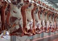کاهش قیمت گوشت طی روزهای آینده/ دامداران دام خود را به بازار عرضه کنند