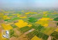 ۳۶۰ هزار هکتار از اراضی کشاورزی استان خوزستان حدنگاری و سنددار شد