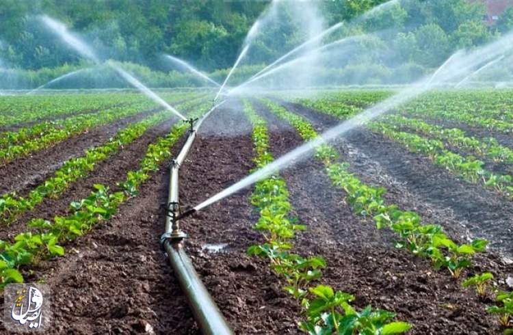 اجرای ۲.۹ میلیون هکتار سیستم آبیاری تحت فشار در اراضی کشاورزی