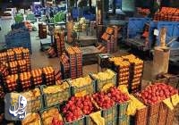 عرضه میوه شب عید ۱۰ درصد زیر قیمت بازار