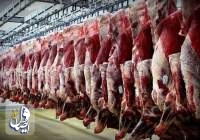 عرضۀ گوشت گوسفندی منجمد به قیمت ۱۵۰ هزار تومان