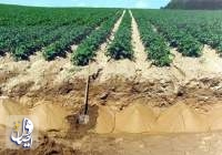 تصویب ۳۵ میلیارد تومان برای حفظ خاک کشاورزی