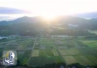 احیای صنعت کشاورزی در فوکوشیمای ژاپن