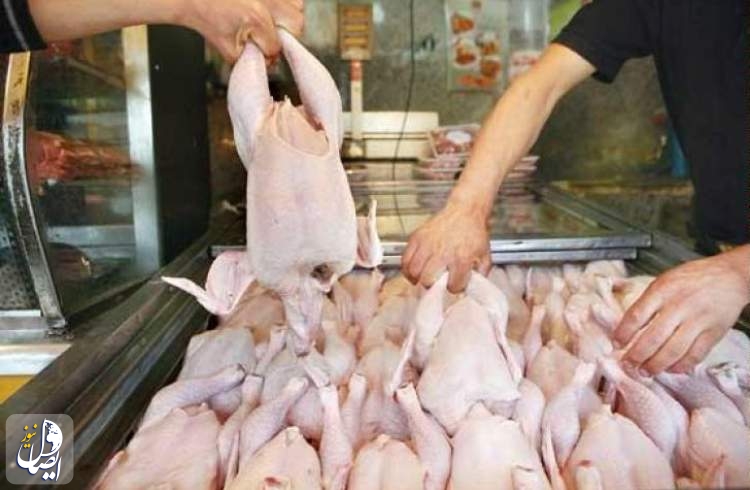 محموله‌های گوشت مرغ گرم وارداتی برای تامین نیاز کشور، در راه است