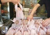 محموله‌های گوشت مرغ گرم وارداتی برای تامین نیاز کشور، در راه است