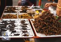 مصرف حشرات به عنوان خوراکی برای سلامتی انسان مفید است