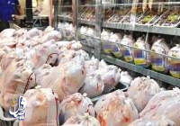 کیلویی ۷۳ هزار تومان؛ قیمت جدید مرغ تعیین شد