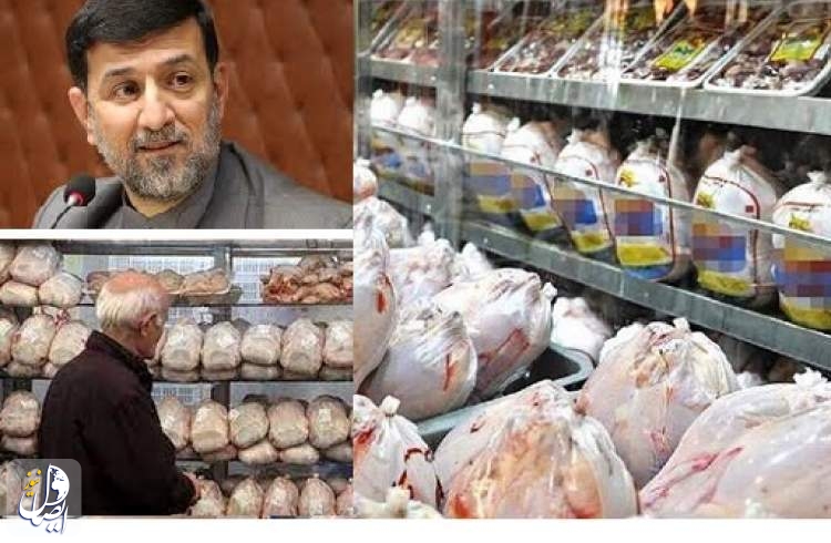 آقامیری: قیمت نهاده‌ها سقوط کرده؛ چرا قیمت مرغ ۴۰ درصد بالا رفته است؟