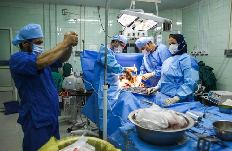 伊斯法罕的30％器官移植成员是通过脑死亡后的器官捐赠获得的