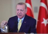هيئة الانتخابات تعلن رسمياً فوز إردوغان برئاسة تركيا لولاية جديدة