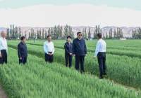 Си Цзиньпин призвал творить новые чудеса в борьбе с опустыниванием