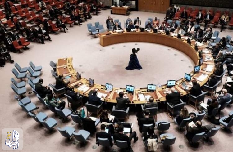 شورای امنیت سازمان ملل، کودتا در نیجر را محکوم کرد