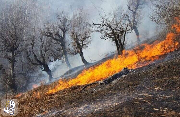 ۹۰ درصد آتش سوزی در جنگل های مریوان مهار شد