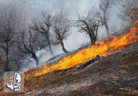 ۹۰ درصد آتش سوزی در جنگل های مریوان مهار شد
