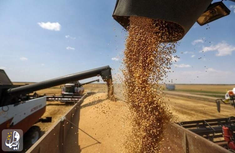 میزان خرید گندم کشور نسبت به سال گذشته دو و نیم میلیون تُن افزایش یافت