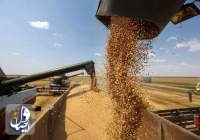 میزان خرید گندم کشور نسبت به سال گذشته دو و نیم میلیون تُن افزایش یافت