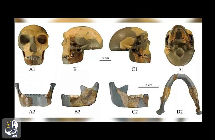 جمجمه ۳۰۰ هزار ساله در چین دانشمندان را شگفت زده کرد