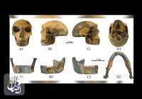 جمجمه ۳۰۰ هزار ساله در چین دانشمندان را شگفت زده کرد