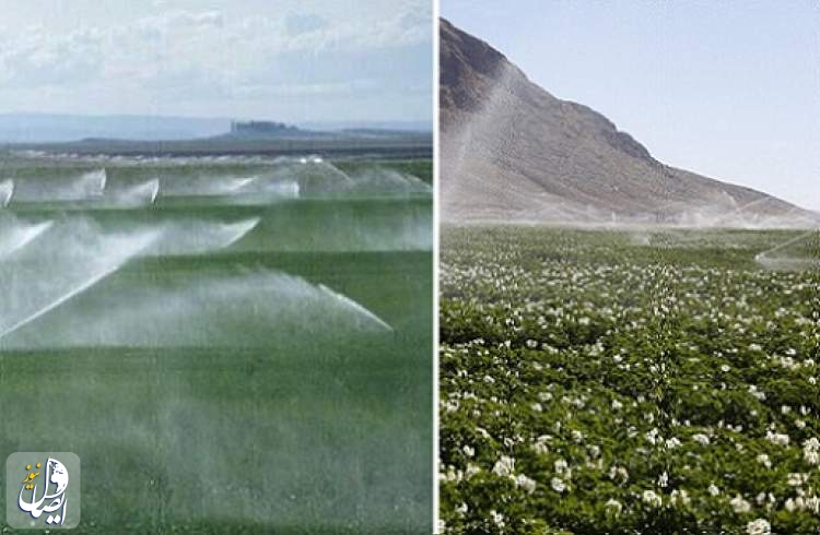 آبیاری تحت فشار در بیش از سه هزار هکتار اراضی کشاورزی اصفهان در دست اجراست