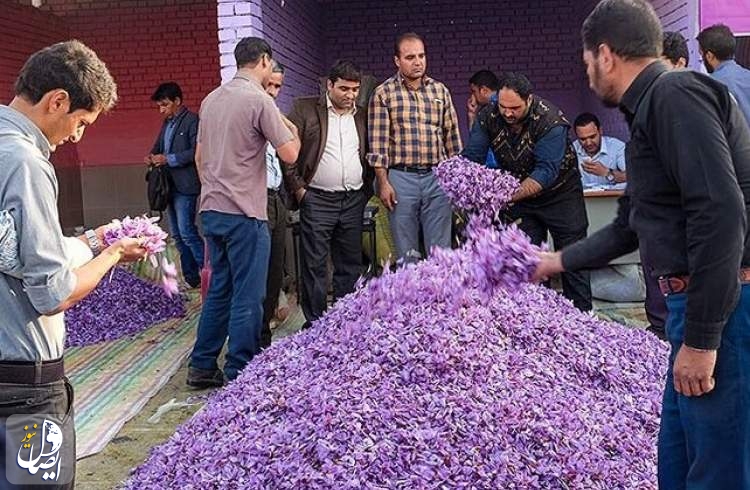 عکس تزیینی است